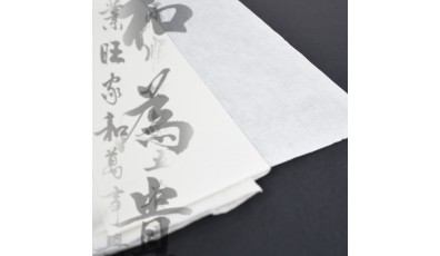 Rice Paper Student Grade