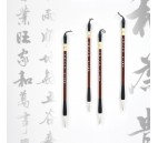 Calligraphy & Chinese painting