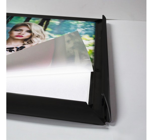 Lightbox / PET Films