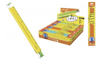 4 in 1 Multi Function Ruler (30cm)